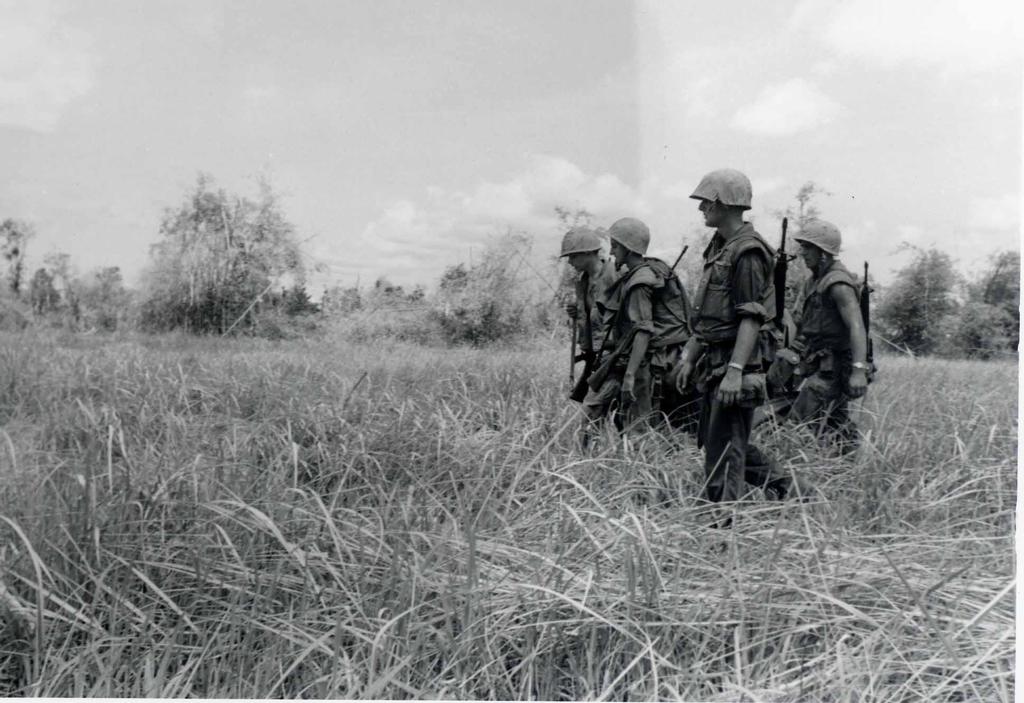 MY CUTEY COMING OUT OF THE BUSH AT CANTIGNY  2012