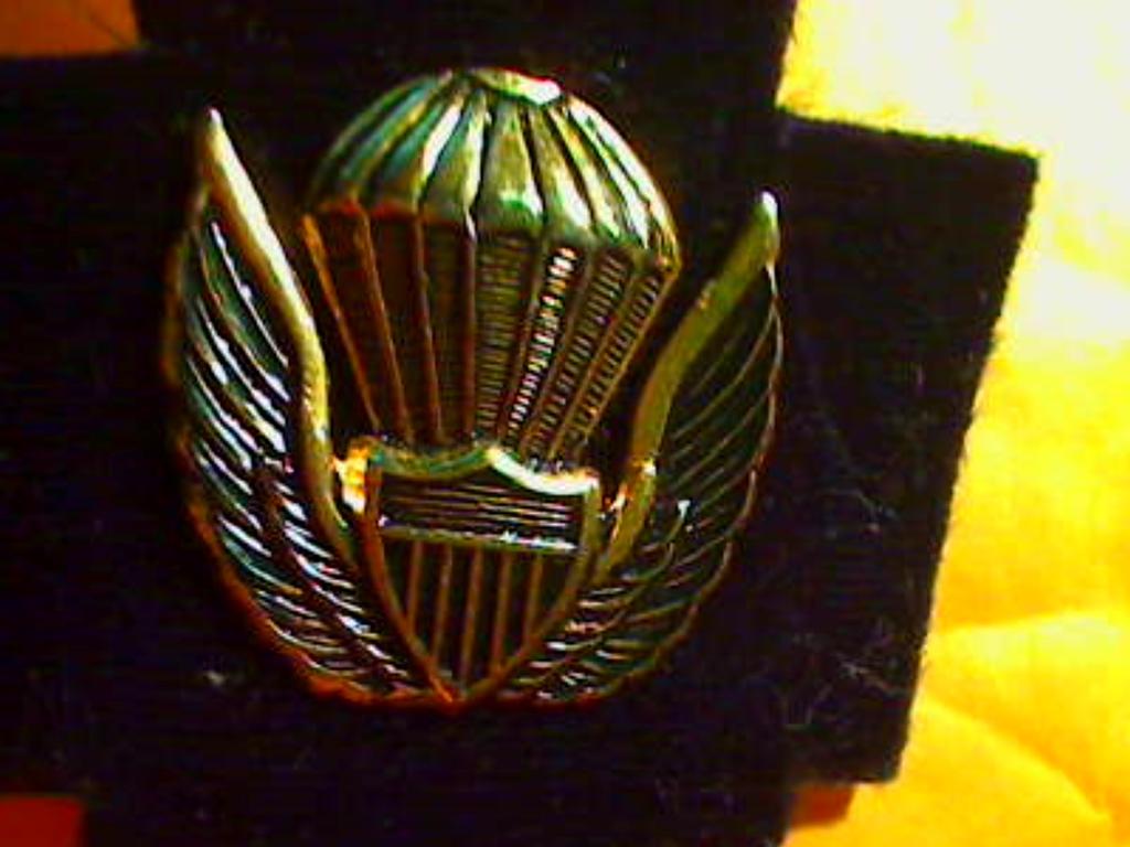 Look out Charlie Do! Marine on the prowl!