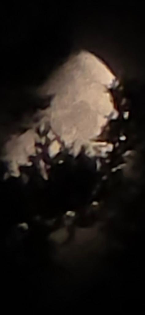 OPERATION. R.E. D. SEA.