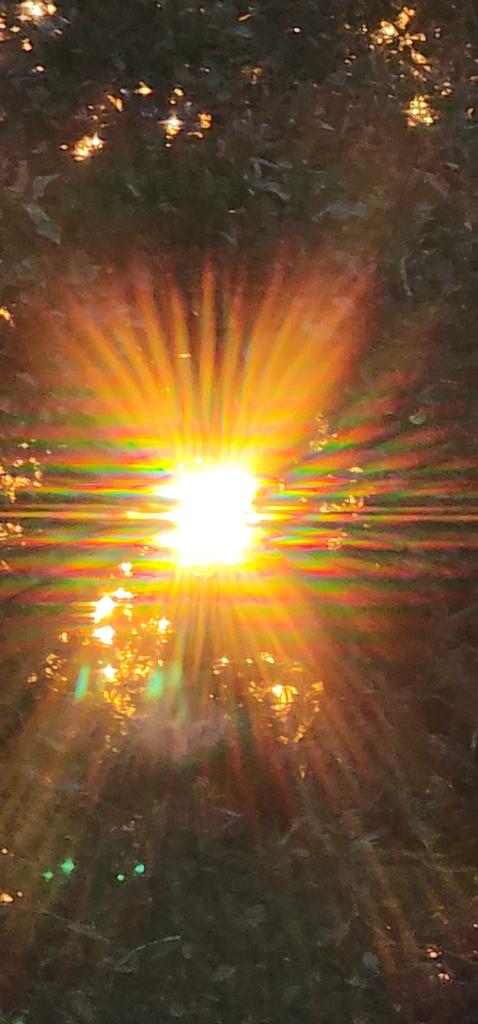 OPERATION. R.E. D. SEA.