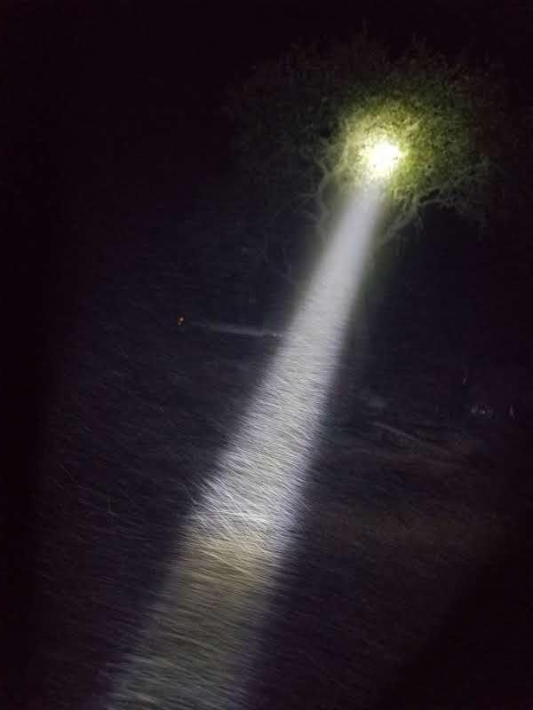 OPERATION. R.E. D. SEA.