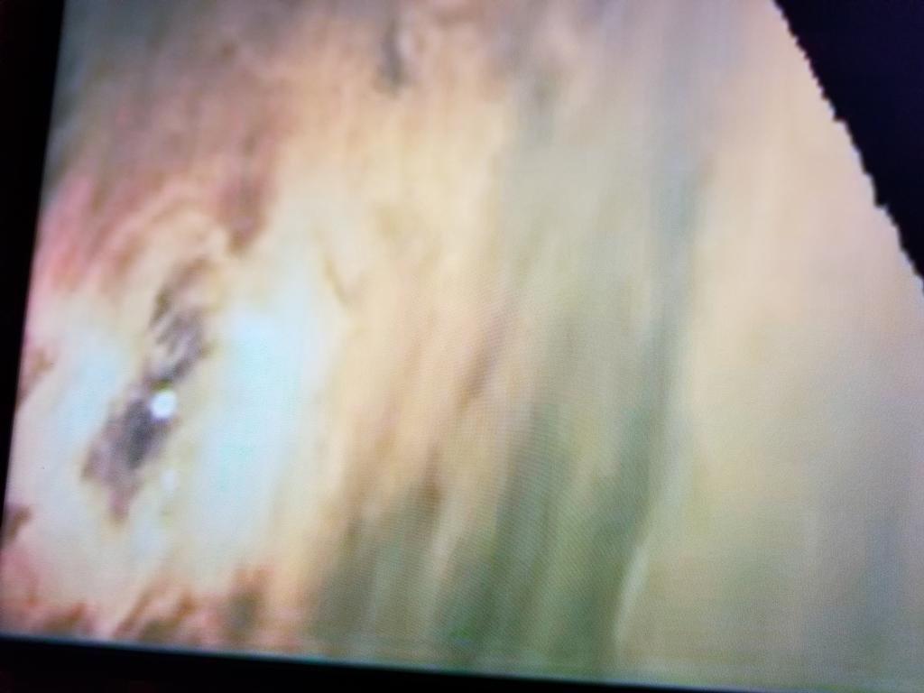 OPERATION. R.E. D. SEA.