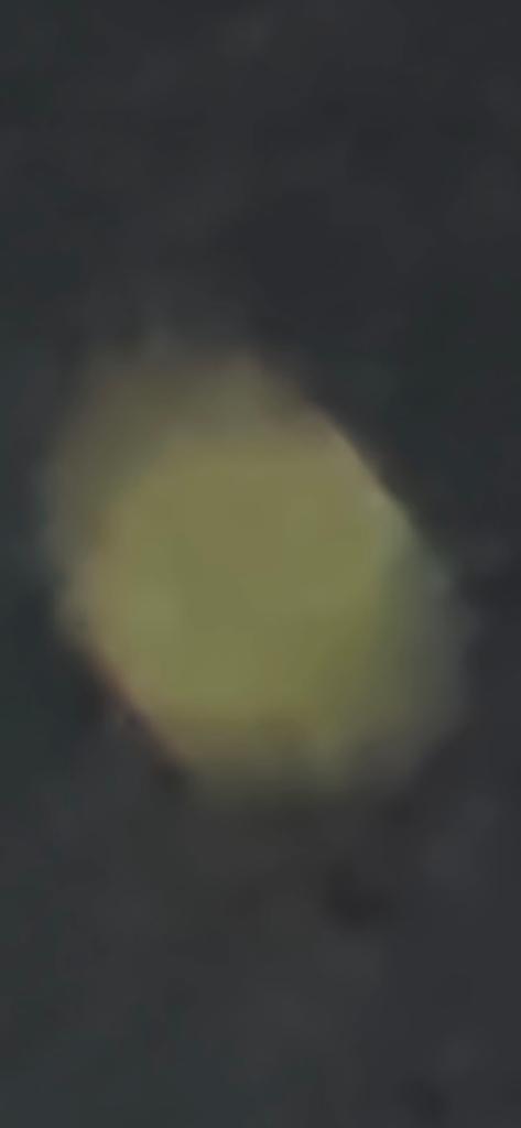 OPERATION. R.E. D. SEA.