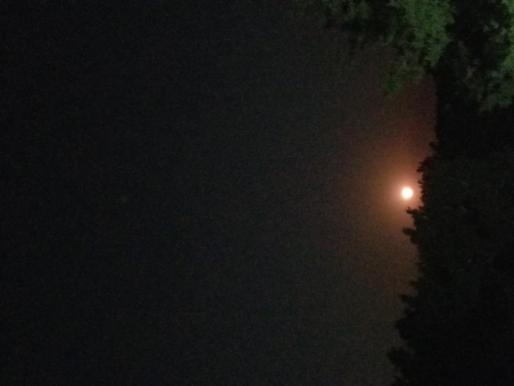 OPERATION. R.E. D. SEA.