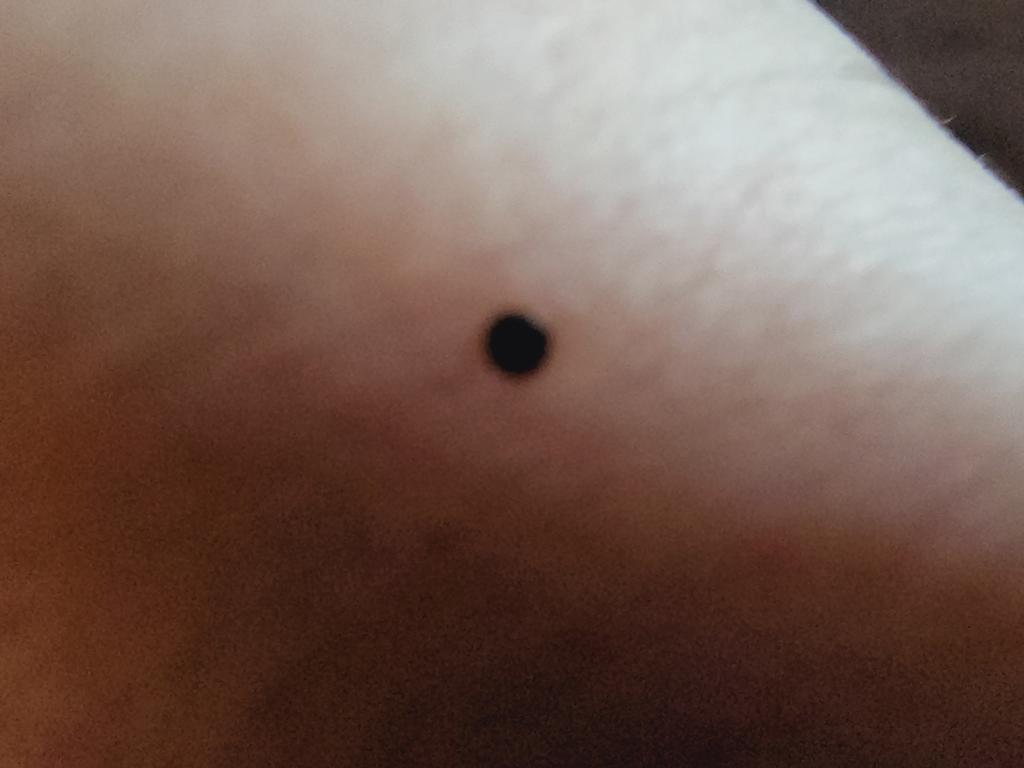 OPERATION. R.E. D. SEA.