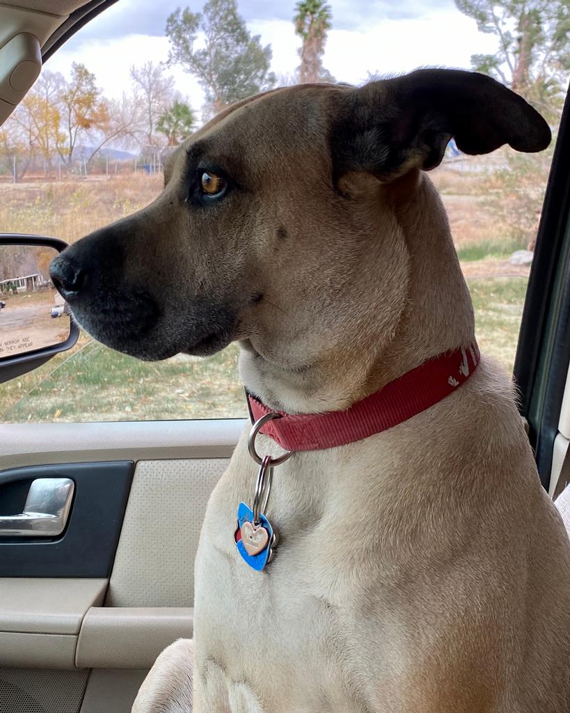 Friends of John Hughes in P.I.