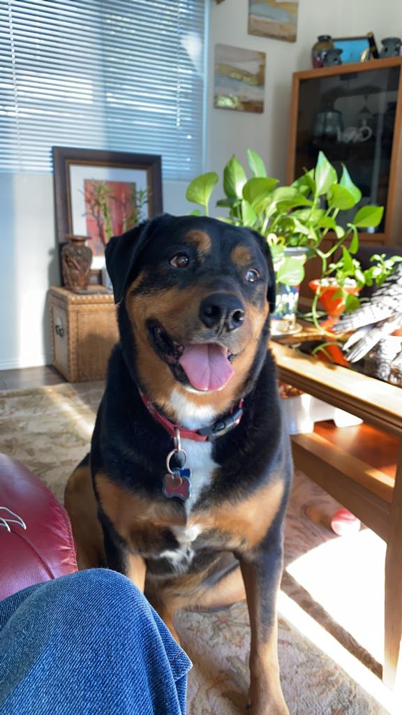 DOUG (DUSTY) STILLEY