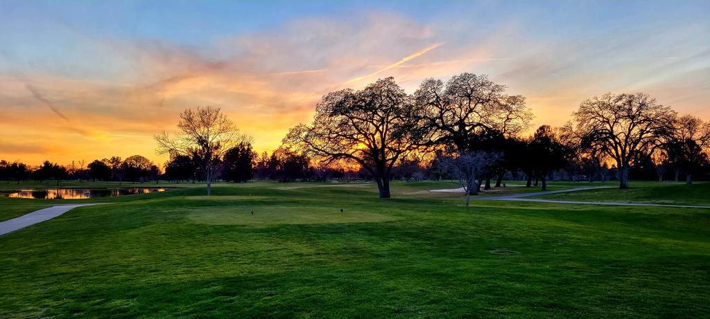 Flight Picture in Basic Training