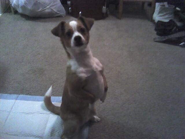 DiazSantiago & Hrabina at mortar pit/ Desert Storm