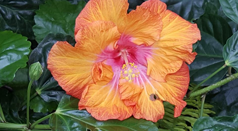 Basic training Flt Photo