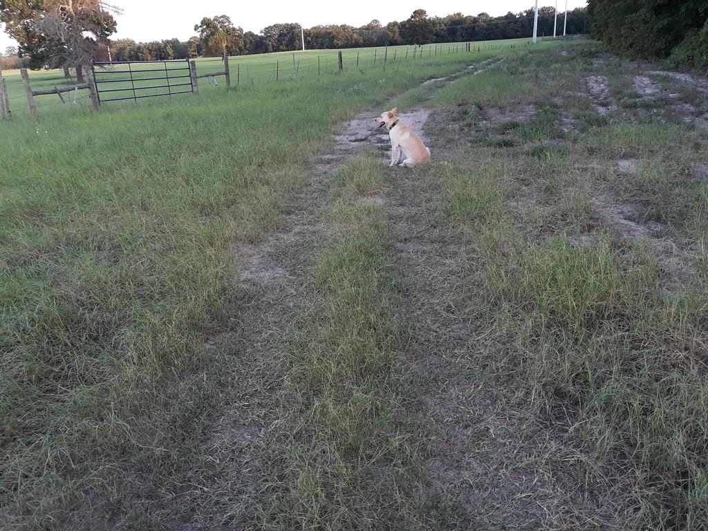 North Of Uijongbu-ASP 56