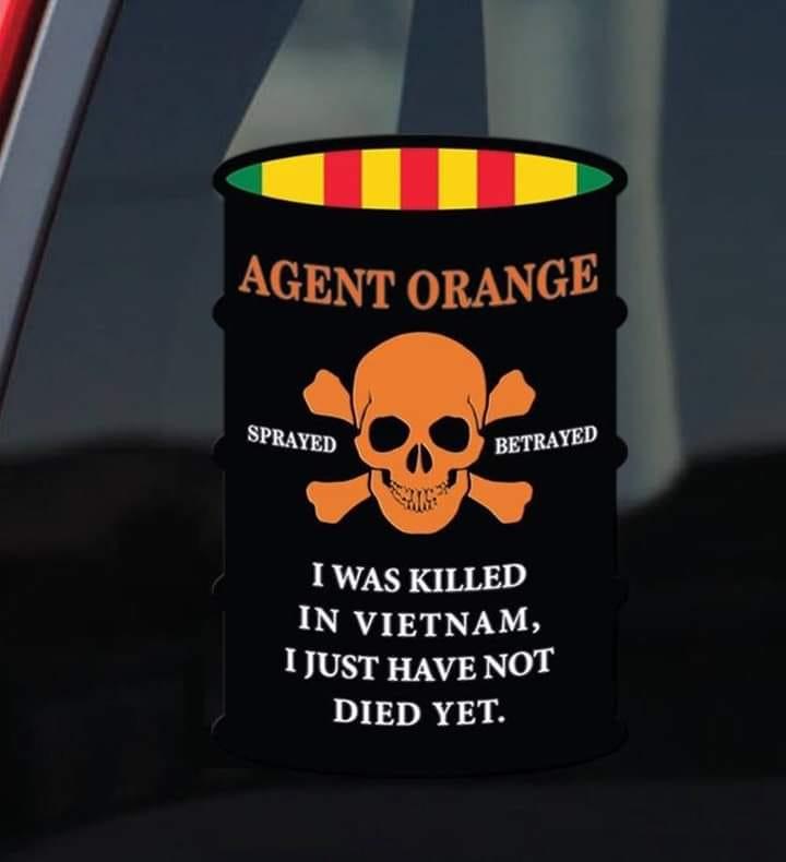 Checking out the vill