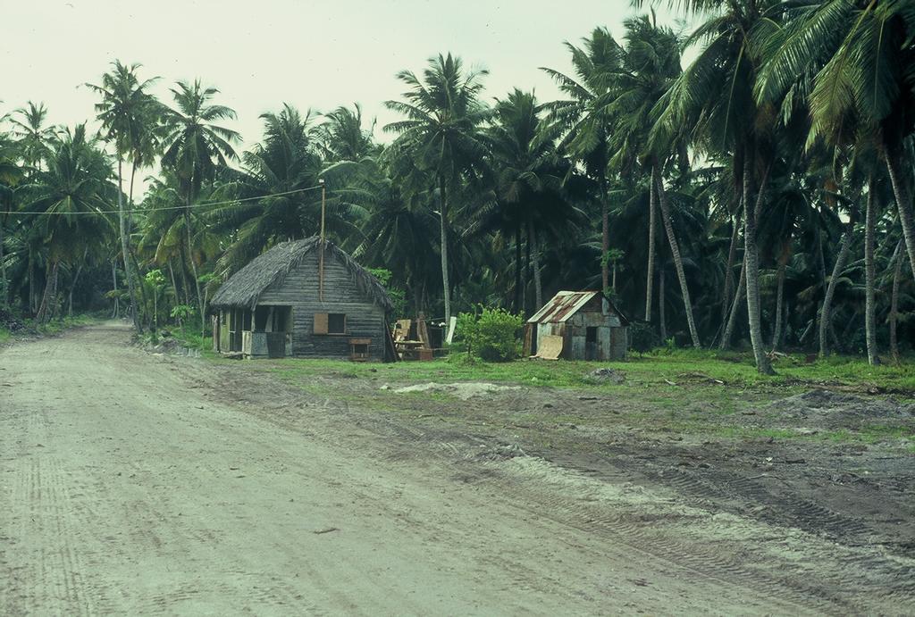 SP5 Cobb, Thomas J.  Today, 44 Years Later.