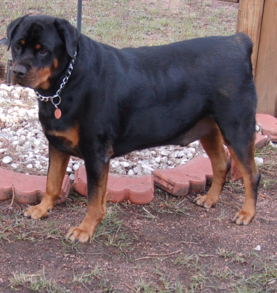 Photo was taken while in Bootcamp at Paris Island