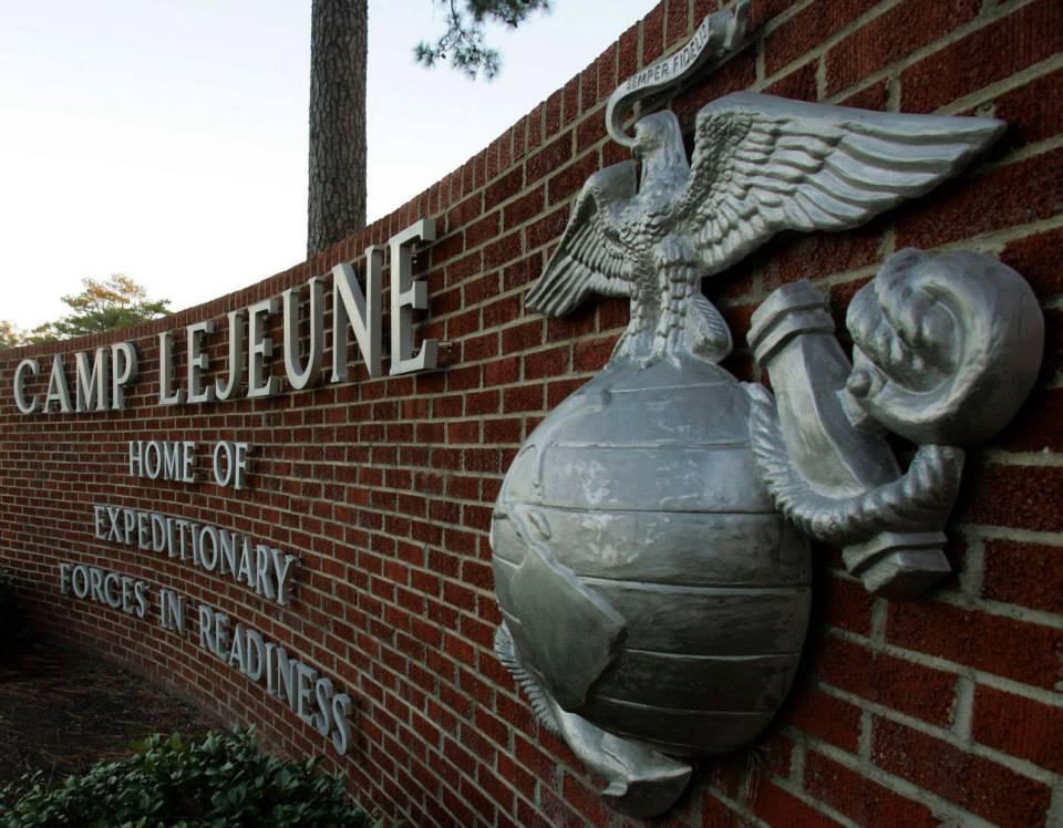 rat cleaning his new toy