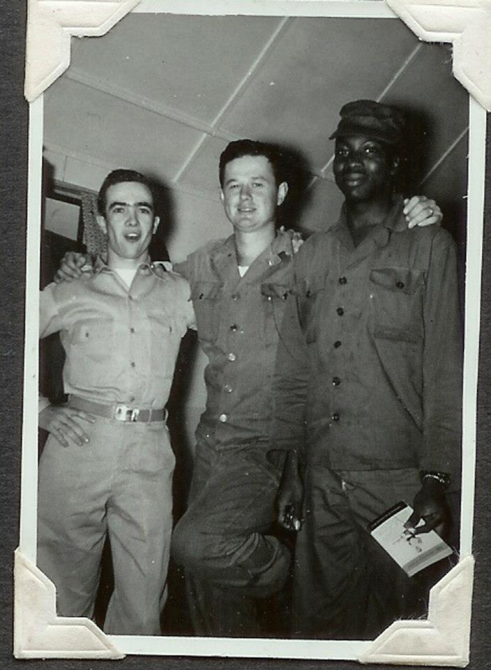 WHEN IT FLIES IT DIES!