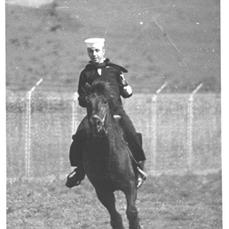 home destroyer-DD723